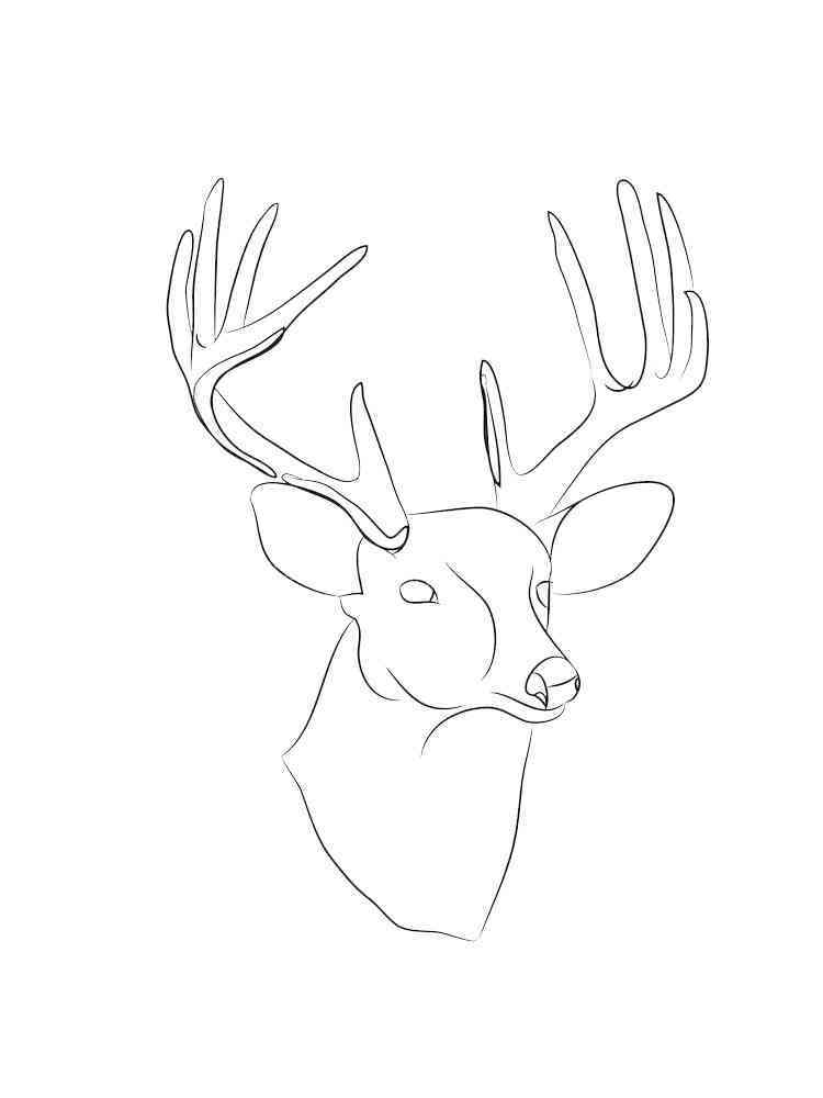 Deer Head Outline Coloring Page Coloring Pages