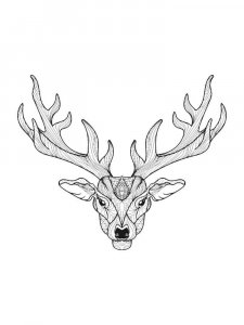 Deer head coloring page - picture 1