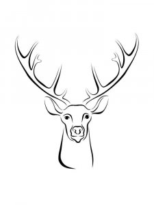 Deer head coloring page - picture 11