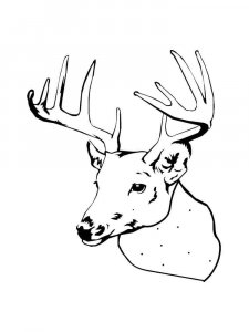Deer head coloring page - picture 12