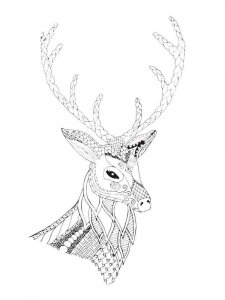 Deer head coloring page - picture 14