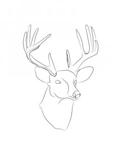 Deer head coloring page - picture 18