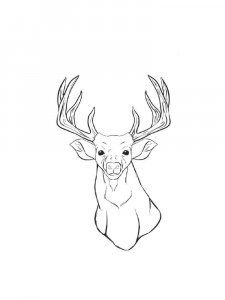 Deer head coloring page - picture 5
