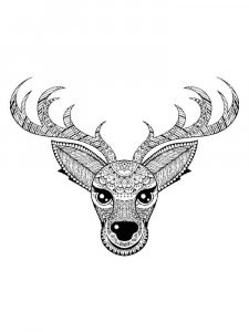 Deer head coloring page - picture 6