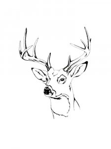 Deer head coloring page - picture 7