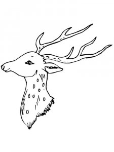 Deer head coloring page - picture 9