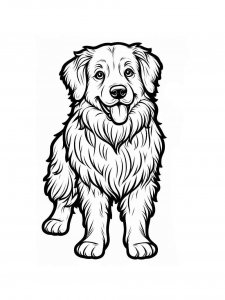 Dog coloring page - picture 25