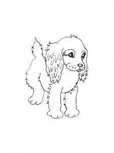 Spaniel Dog Coloring Page