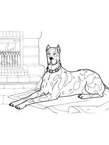 Spotted Great Dane by Fireplace Coloring Page