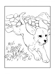 Jumping Puppy Coloring Page