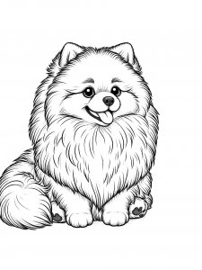 Pomeranian Dog Coloring Page
