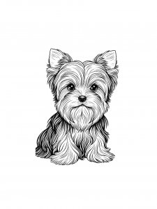 Yorkshire Terrier Dog Coloring Page