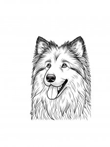 Collie Dog Portrait Coloring Page