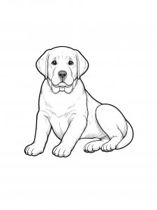Labrador Lying Down Coloring Page