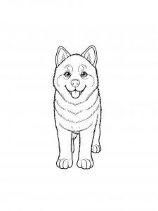 Husky Puppy Coloring Page