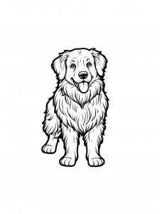 Golden Retriever Coloring Page