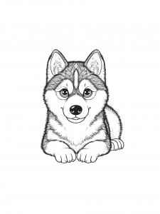 Husky Lying Down Coloring Page