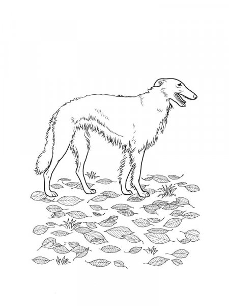 Dogs coloring pages