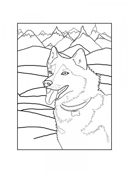 Dogs coloring pages