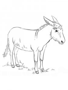 Donkey coloring page - picture 10