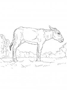 Donkey coloring page - picture 13
