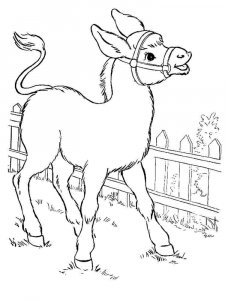 Donkey coloring page - picture 14