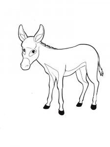 Donkey coloring page - picture 15