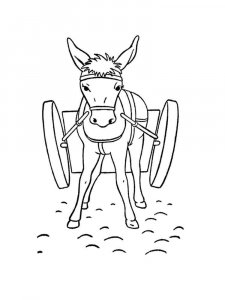 Donkey coloring page - picture 27