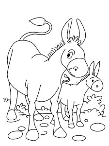Donkey coloring page - picture 3
