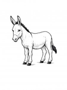 Realistic Donkey for Kids Coloring Page