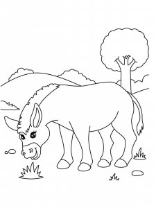 Donkey coloring page - picture 6