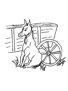 Donkey coloring page - picture 9