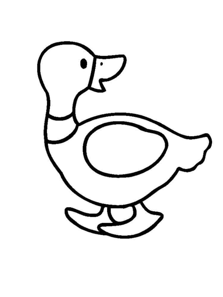 Download Duck coloring pages. Download and print duck coloring pages