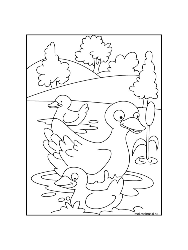 Duck Coloring Pages Download And Print Duck Coloring Pages