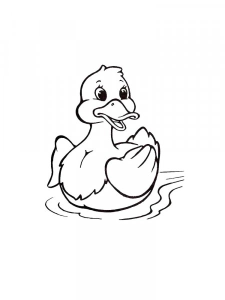 Duck coloring pages. Download and print duck coloring pages