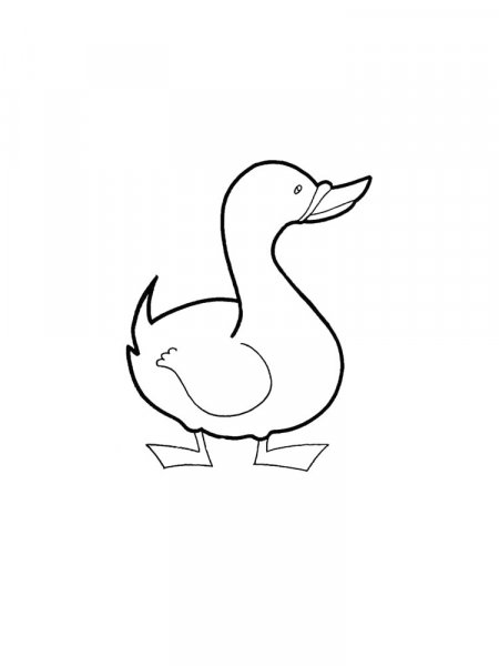 Duck coloring pages. Download and print duck coloring pages