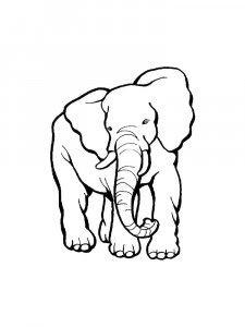 African Elephant Coloring Page
