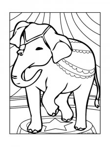 Circus Elephant Show Coloring Page