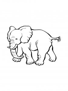 Indian Elephant Coloring Page