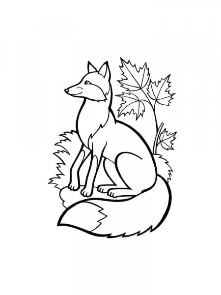 Fox coloring pages