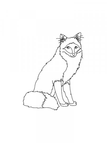 Fox coloring pages