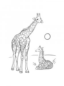 Two Realistic Giraffes Coloring Page