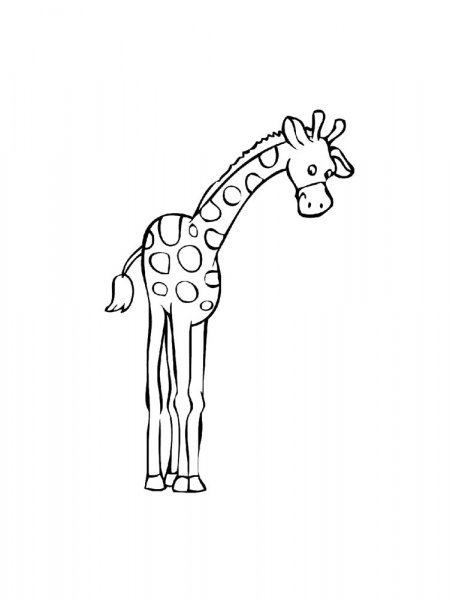 Giraffe coloring pages