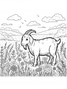 Goat in a Meadow Coloring Page
