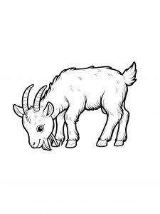 Goat Bending Down Coloring Page