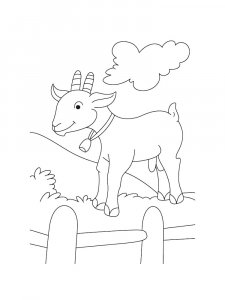 Baby Goat With a Bell Coloring Page