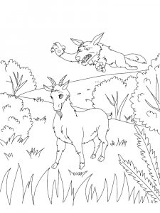 Wolf Attacking a Goat Coloring Page