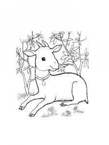 Lying Goat Coloring Page