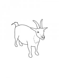 Silly Goat Coloring Page