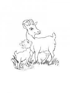 Baby Goat With Its Mother Coloring Page